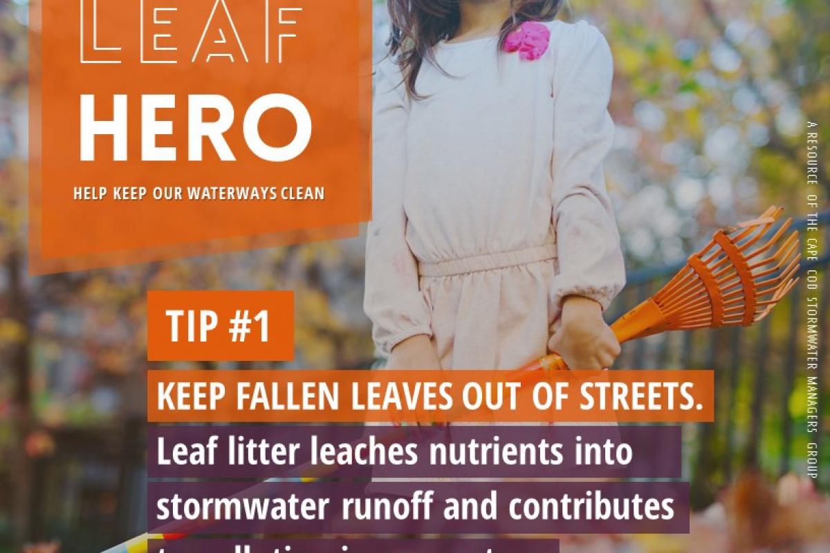 Be a Leaf Hero, keep fallen leaves out of streets.