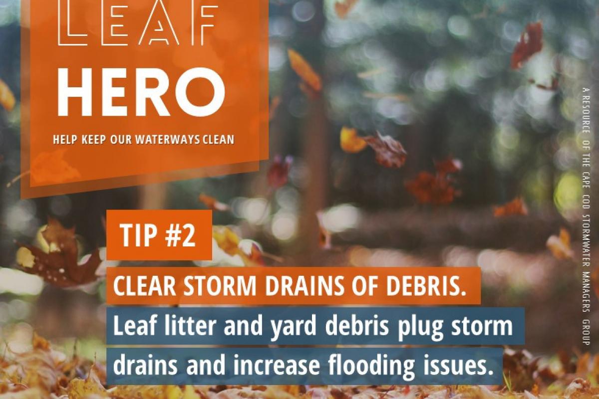 Be a Leaf Hero, clear storm drains of debris.