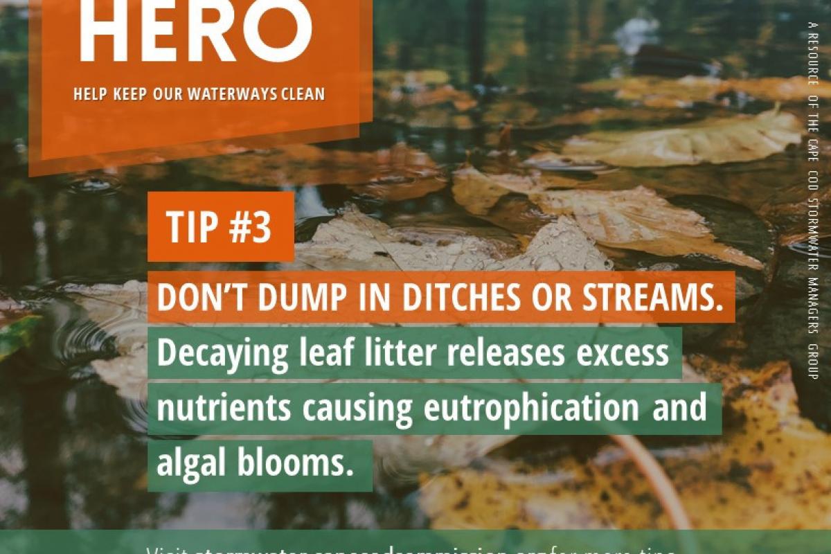Be a Leaf Hero don't dump in ditches or streams.