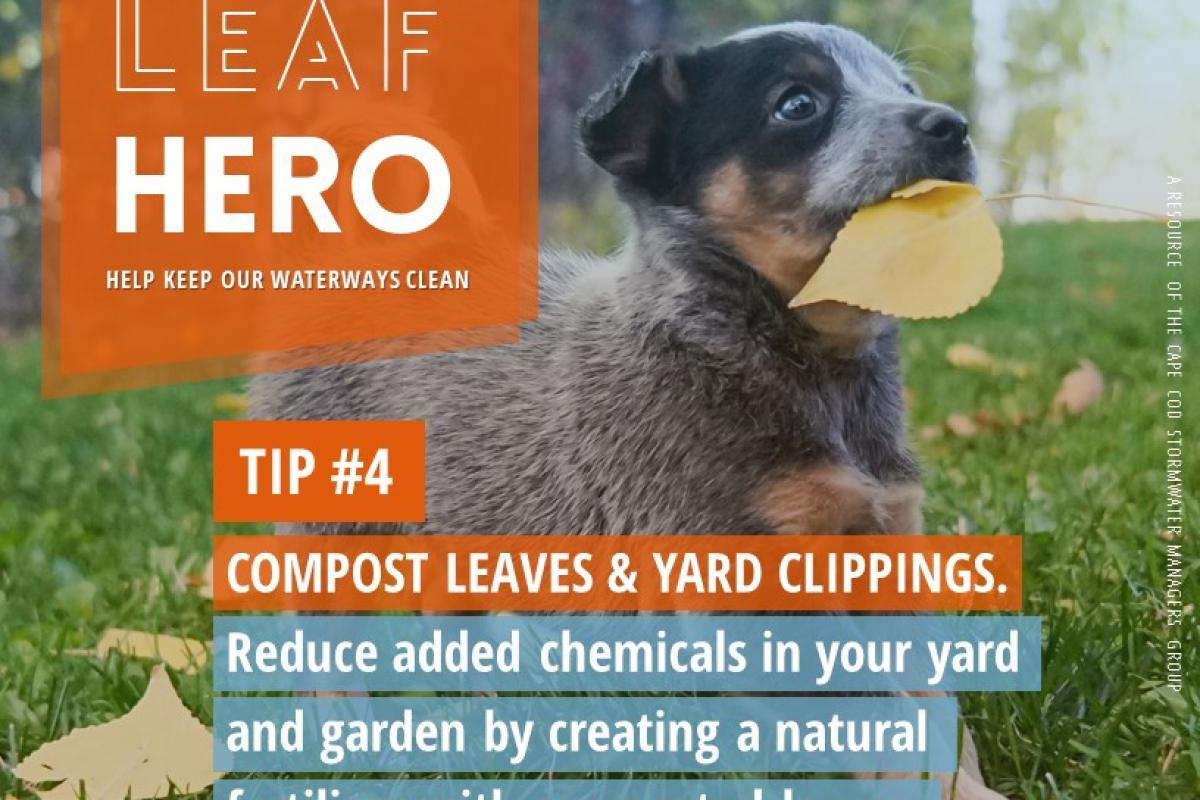 Be a Leaf Hero, compost leaves and yard clippings.